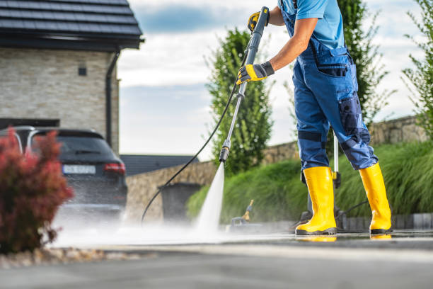 Best Graffiti Removal  in Naples Park, FL